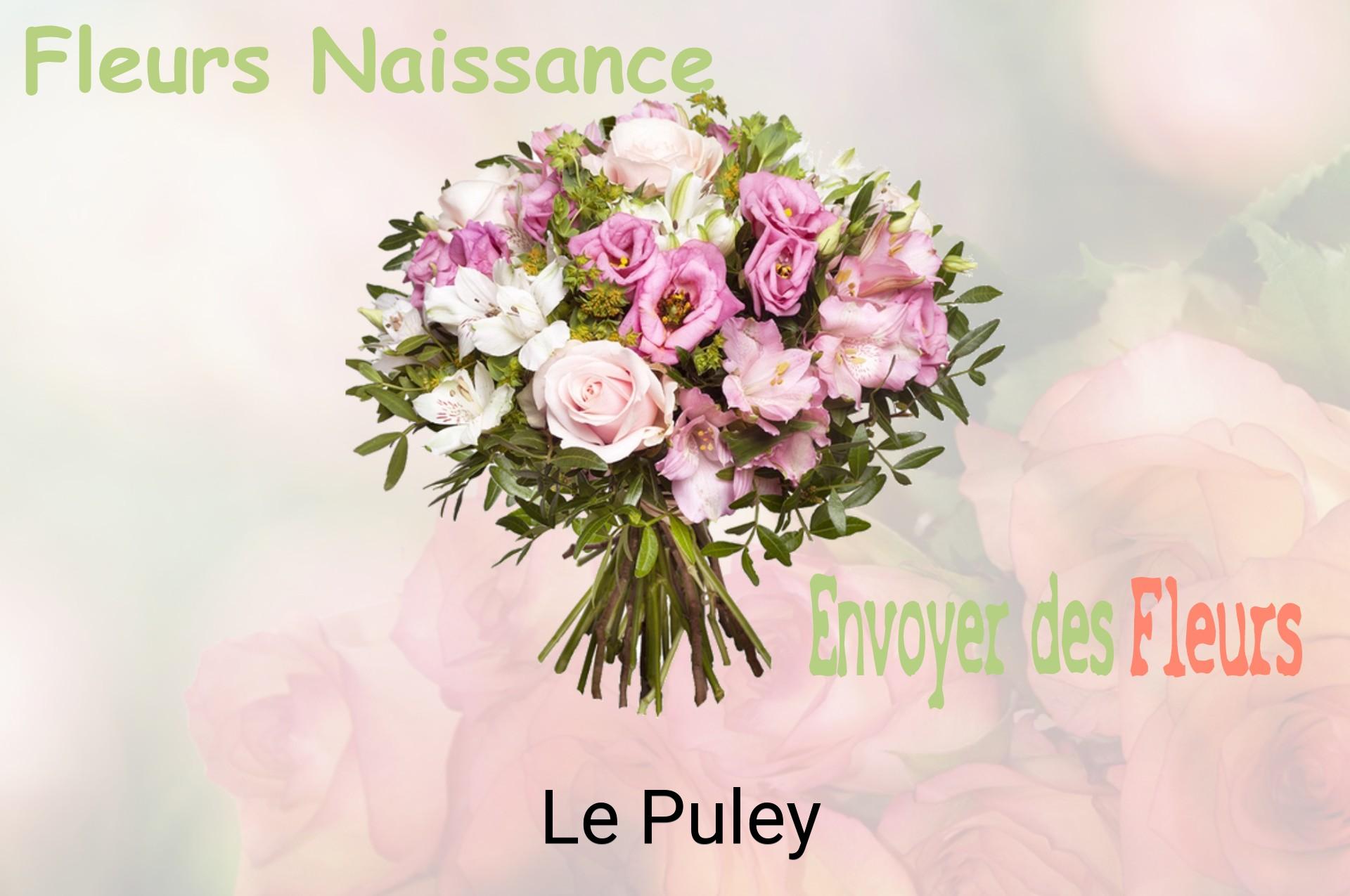 Bouquet de fleurs de naissance livré à Le Puley
