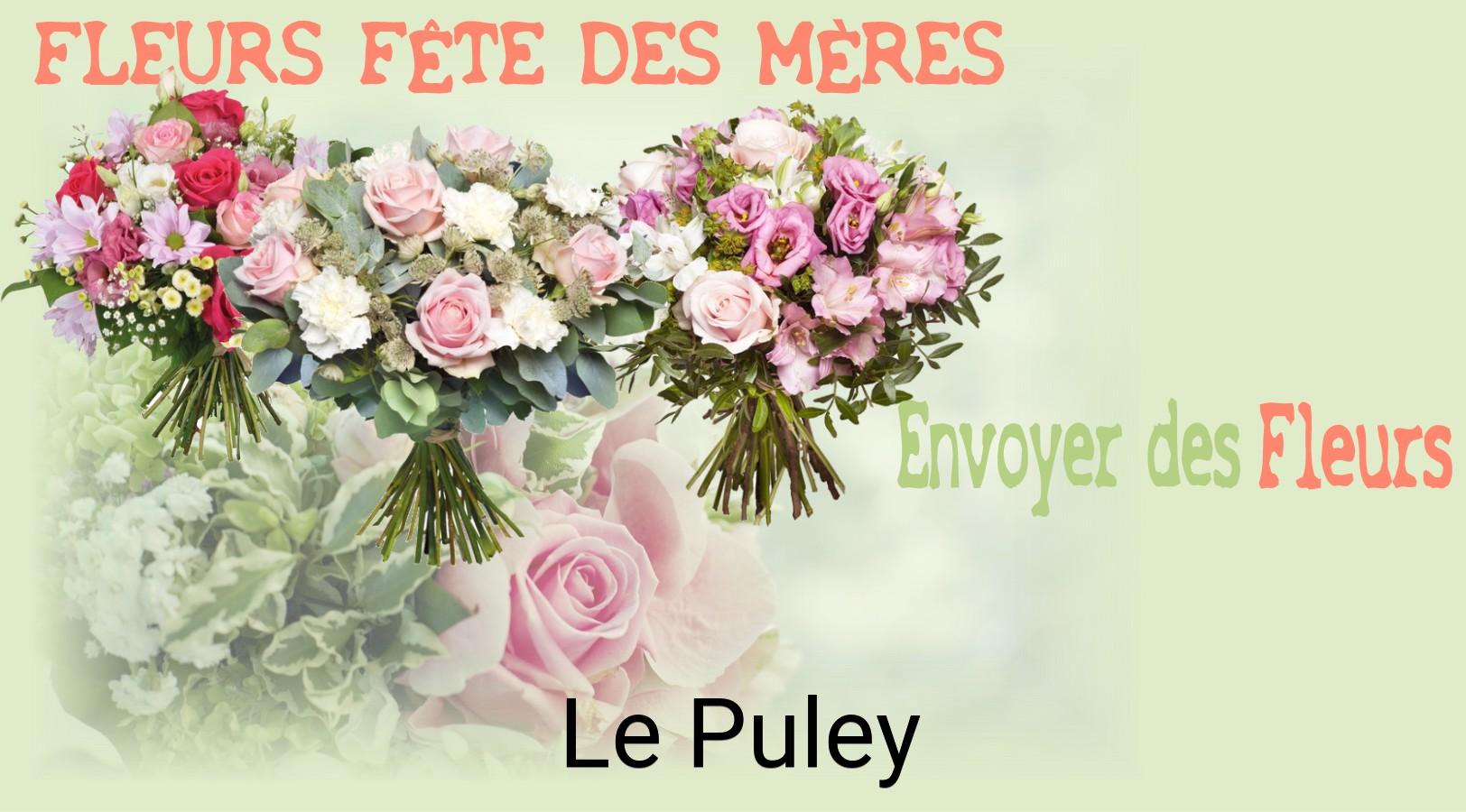 Bouquet de Fête des Mères livré à Le Puley